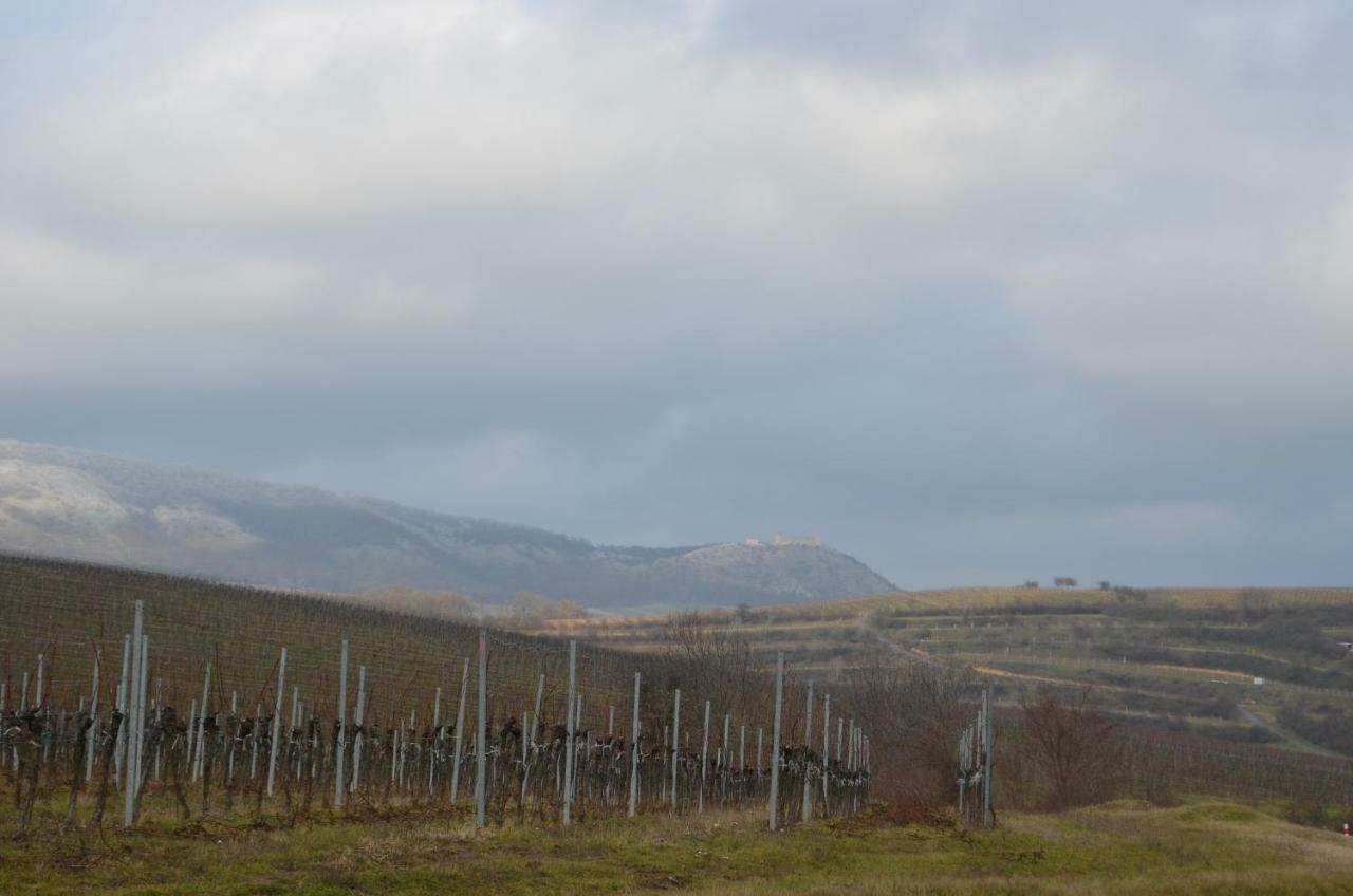 Penzion U Žabáka Mikulov Exterior foto